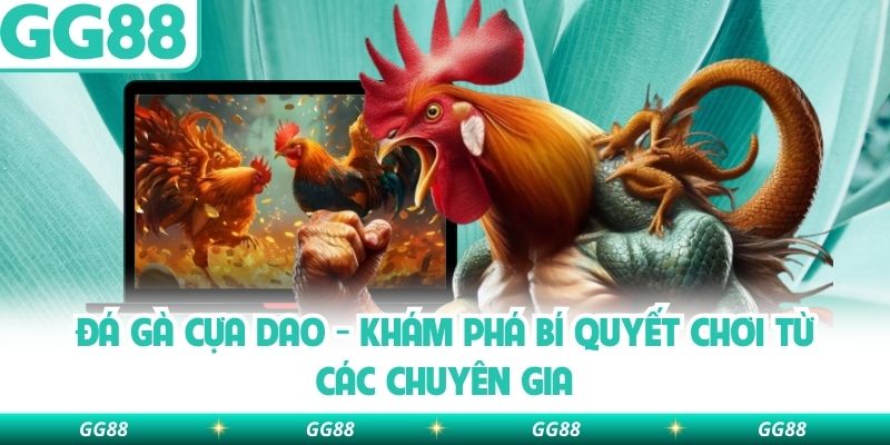 Đá Gà Cựa Dao – Khám Phá Bí Quyết Chơi Từ Các Chuyên Gia
