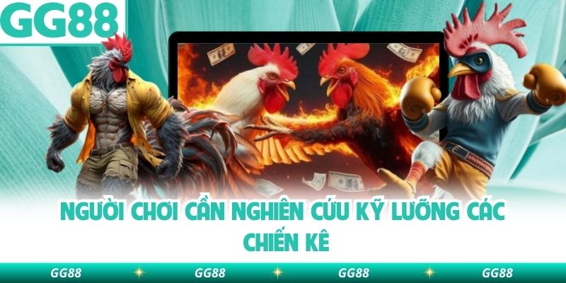 Người chơi cần nghiên cứu kỹ lưỡng các chiến kê