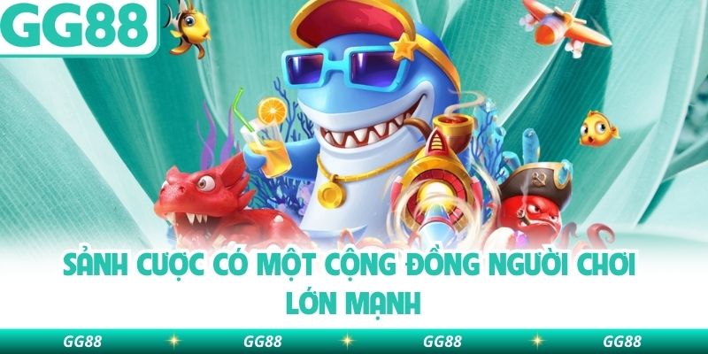 Sảnh cược có một cộng đồng người chơi lớn mạnh